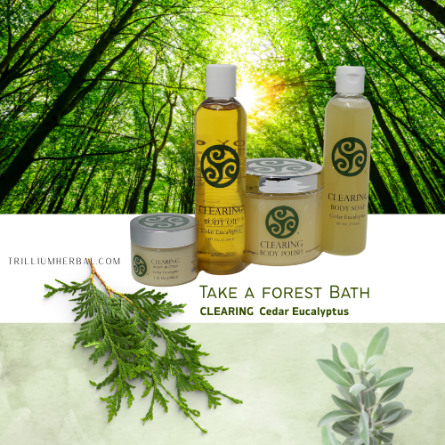 Dermal Biome Insights & Authentic Self-Care Guide