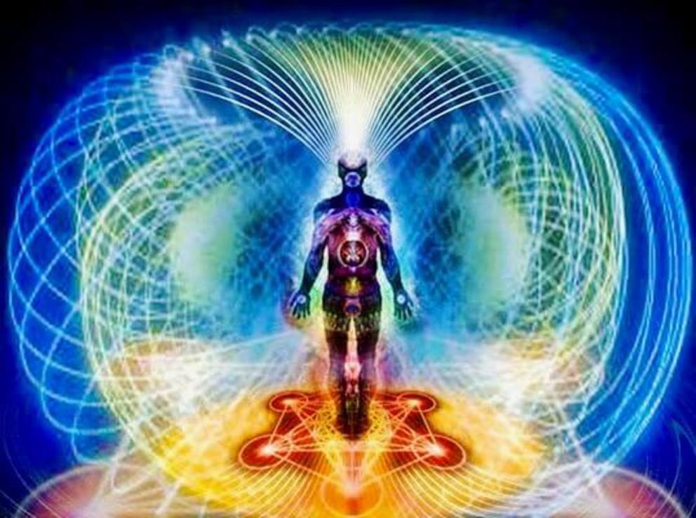 Human Torus