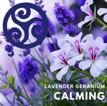 CALMING Lavender Geranium Bundles - Trillium Herbal Company