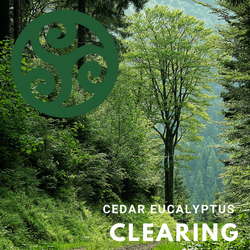 CLEARING Cedar Eucalyptus - Trillium Herbal Company