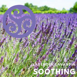 SOOTHING Lavender Lavandin
